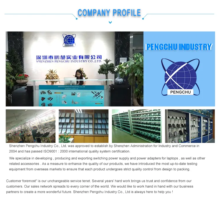 Changeable Plugs 12V 2A Power Adapter wall charger 24W