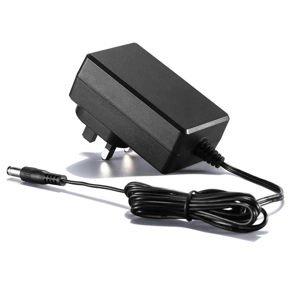 China Factory 12W 24W Power Adapter/Battery Charger/USB Charger