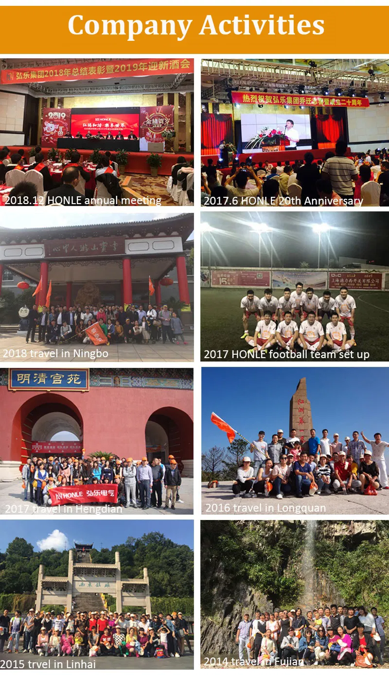 Honle Hln-500va Full-Auto Inverted Power Source for Computer