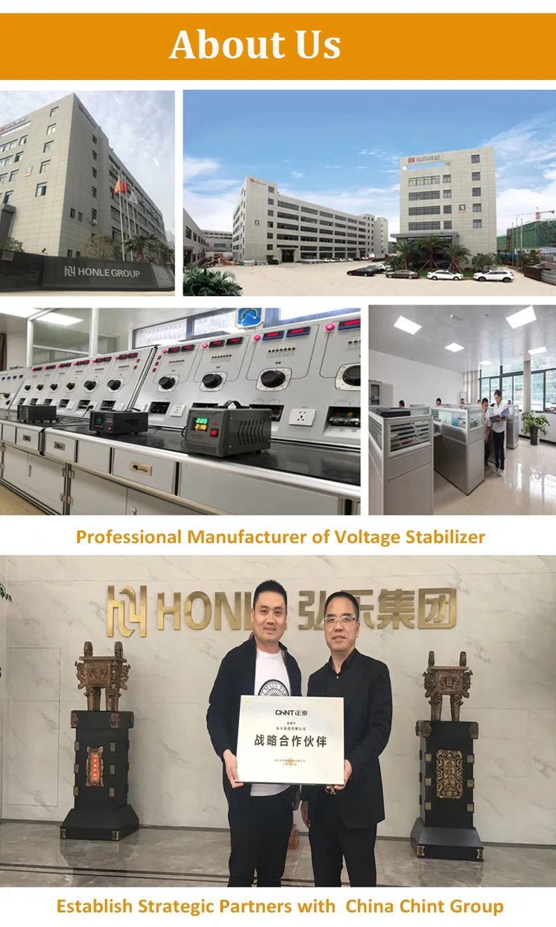 Honle Hln-500va Full-Auto Inverted Power Source for Computer