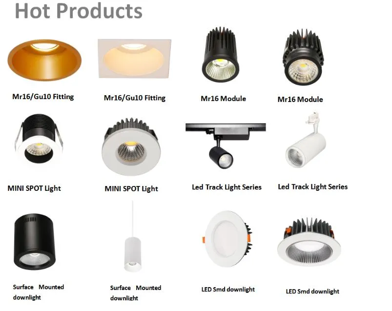 Hot Selling Standard Australia Dimmer LED Dimmer Rotation Dimmer for LED Downlight