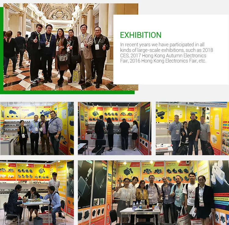 Universal 100-240VAC 50/60Hz EU Switching Power Charger Adapter 5V 500mA with Ce GS CB Approval