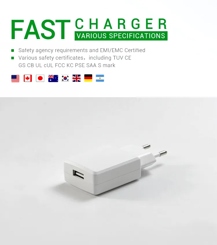 Universal 100-240VAC 50/60Hz EU Switching Power Charger Adapter 5V 500mA with Ce GS CB Approval