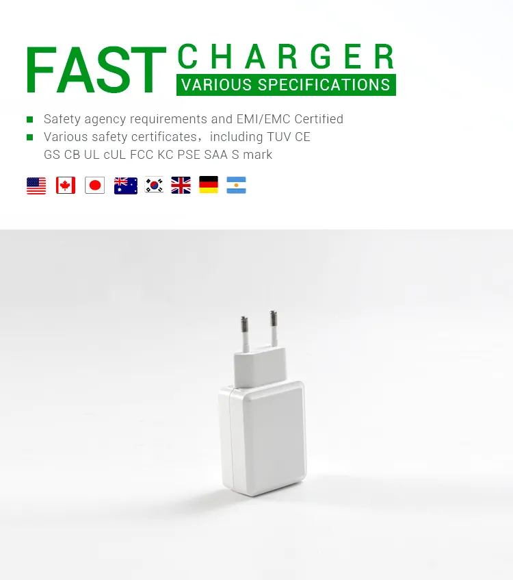Universal 100-240VAC 50/60Hz EU Switching Power Charger Adapter 5V 500mA with Ce GS CB Approval